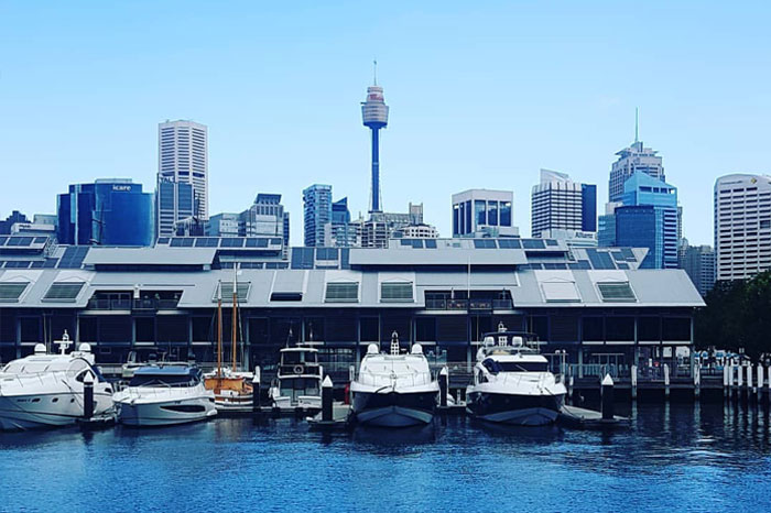 Pyrmont Harbour Sydney with Sydney skyline