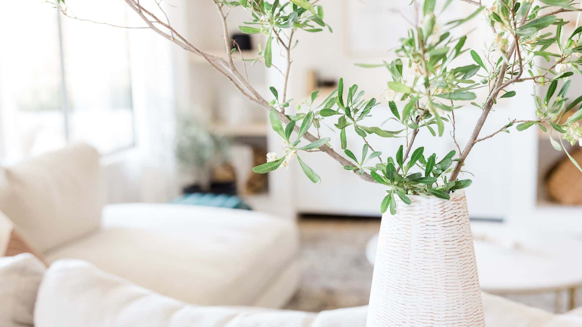 airbnb management guest